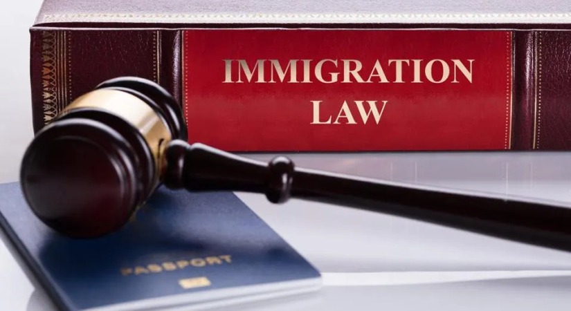 immigration law dissertation topics