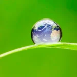 environmental health dissertation topics