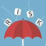risk management dissertation topics