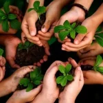 dissertation topics in environmental education