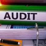 auditing dissertation topics