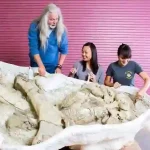 anthropology dissertation topics