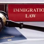 Immigration Law Dissertation Topics