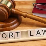 Tort Law Dissertation Topics